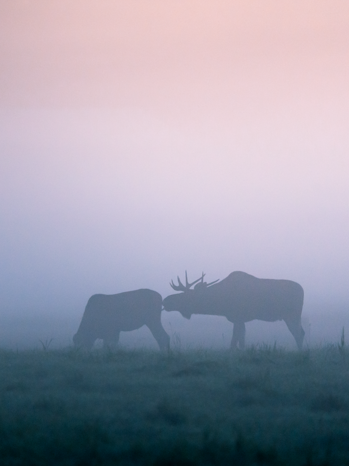 Ensiluokkainen keraaminen latte-muki | 'Misty Moose', taiteilija Mikko Monto
