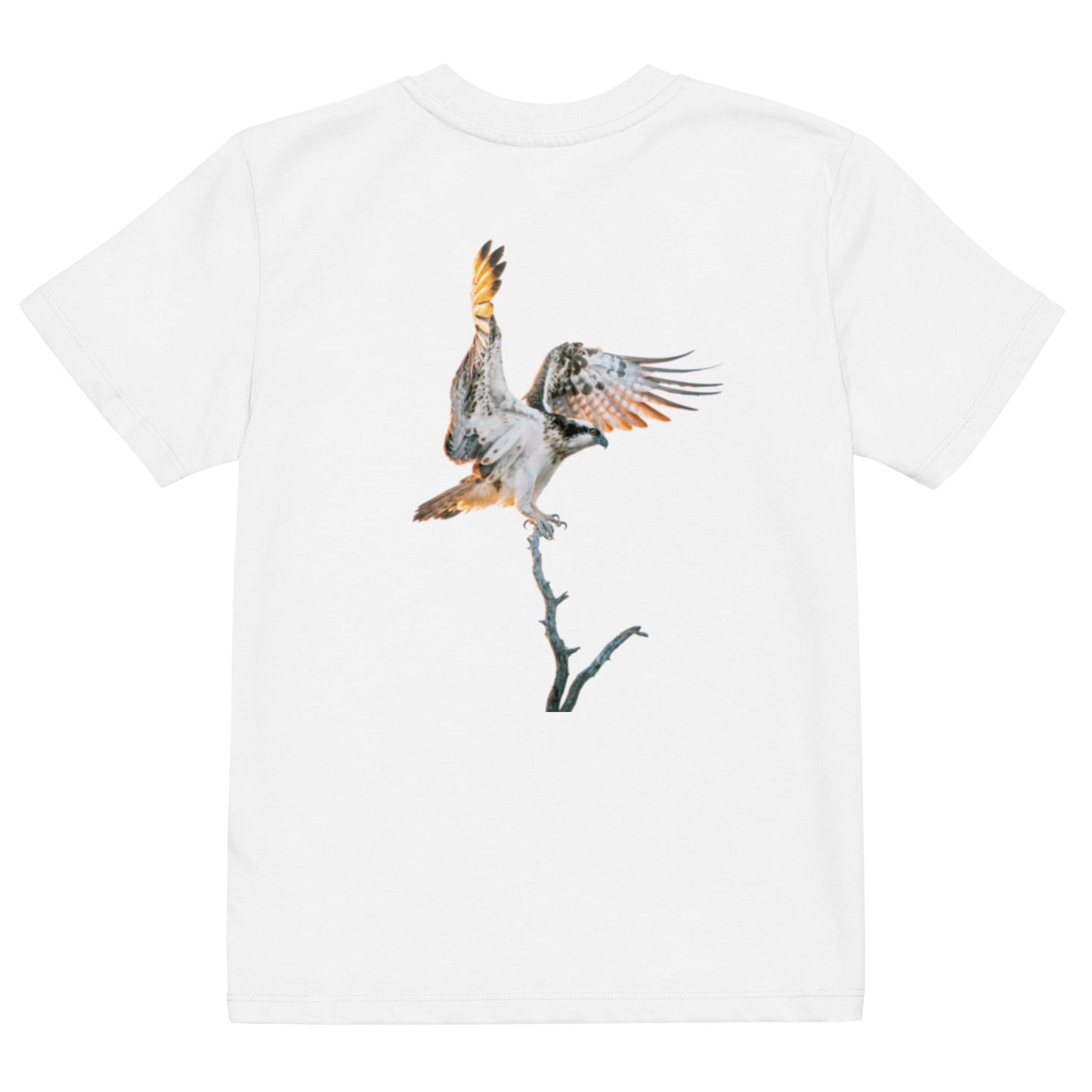 Back view of a kid wearing a white Novapuro organic cotton t-shirt featuring a majestic osprey wildlife photograph by Mikko Monto.