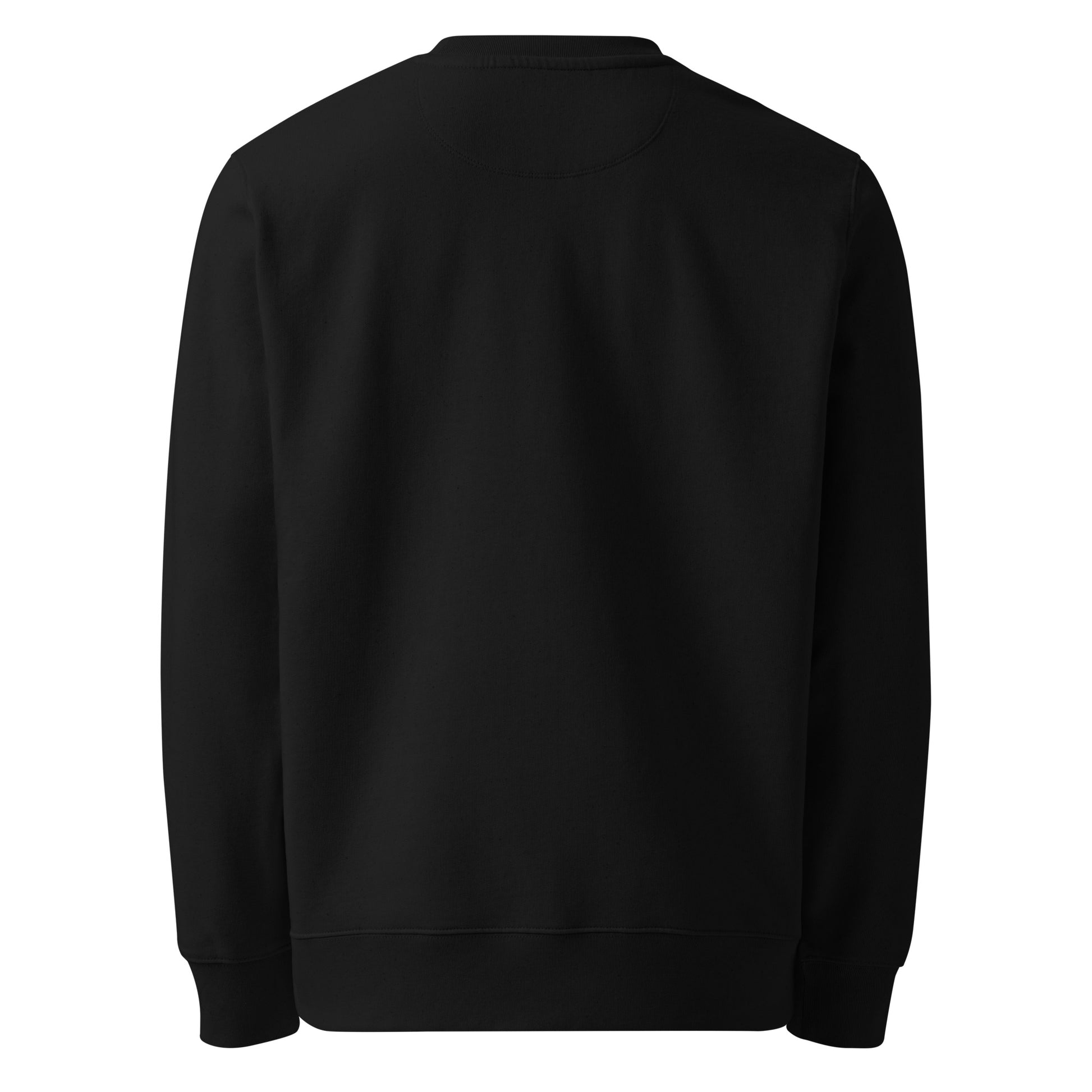 Back view of a blank black heavyweight eco-friendly organic cotton sweatshirt, representing modern Nordic fashion.
