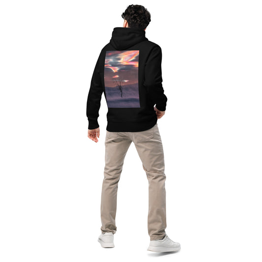 Back view of the black Jetro Luhtaa x Novapuro organic hoodie featuring a stunning nacreous clouds photography print.