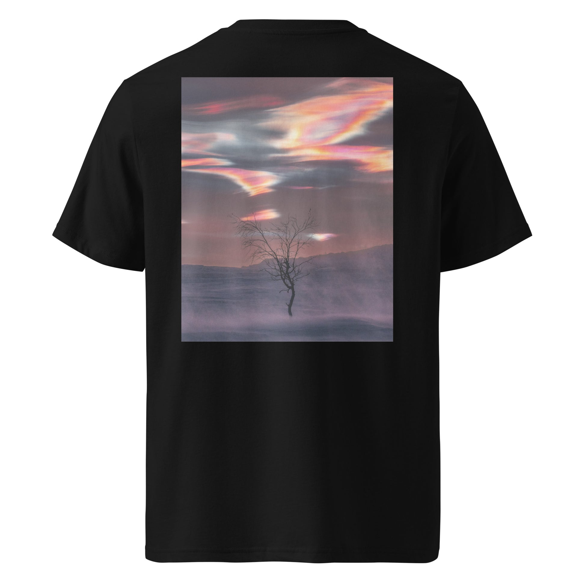 Back view of a female model wearing the black Jetro Luhtaa x Novapuro organic cotton t-shirt featuring a vibrant nacreous clouds photography print.