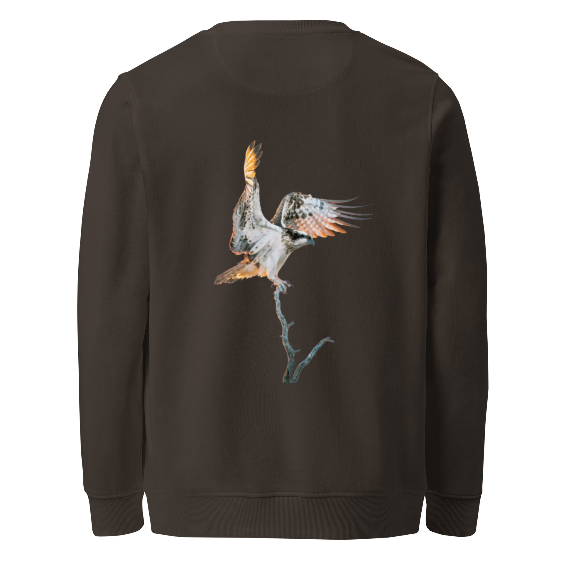 Back view of a black unisex organic sweatshirt by Novapuro featuring a majestic flying osprey wildlife photograph by Mikko Monto.